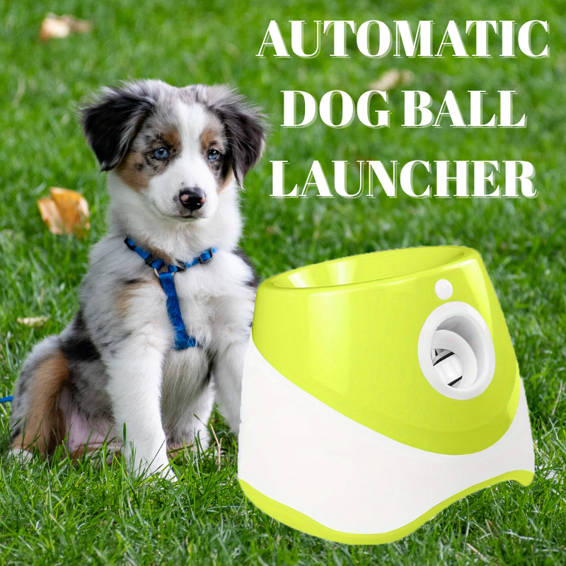 Automatic Dog Ball Launcher-Green
