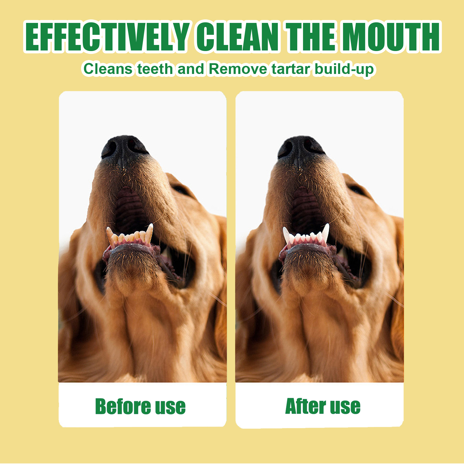 ORAL SPRAY PET CATS AND DOGS