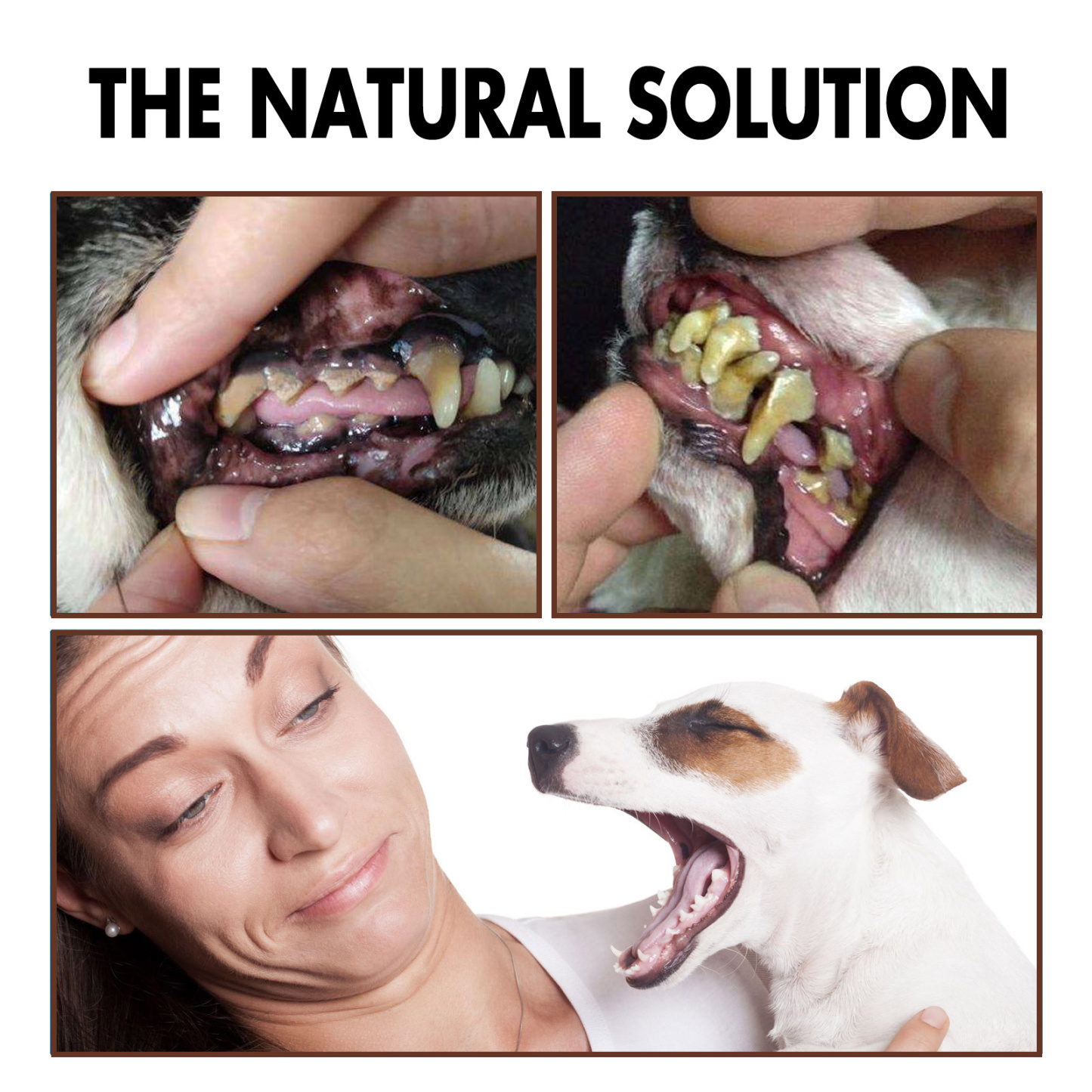 PET TEETH CLEANING SPRAY