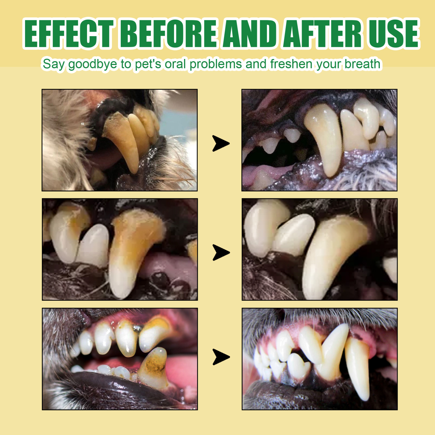 ORAL SPRAY PET CATS AND DOGS