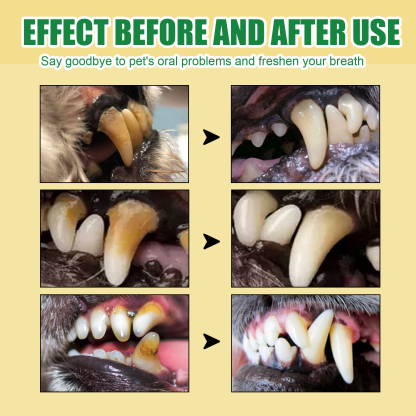 ORAL SPRAY PET CATS AND DOGS