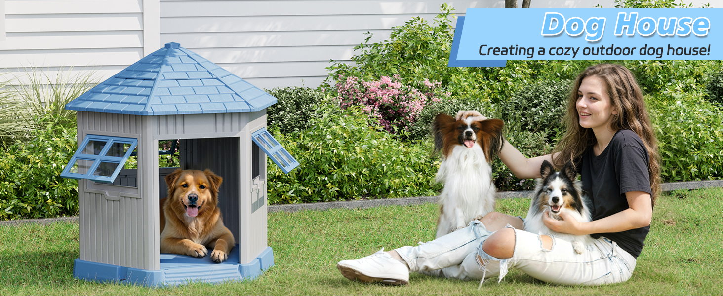 dog house