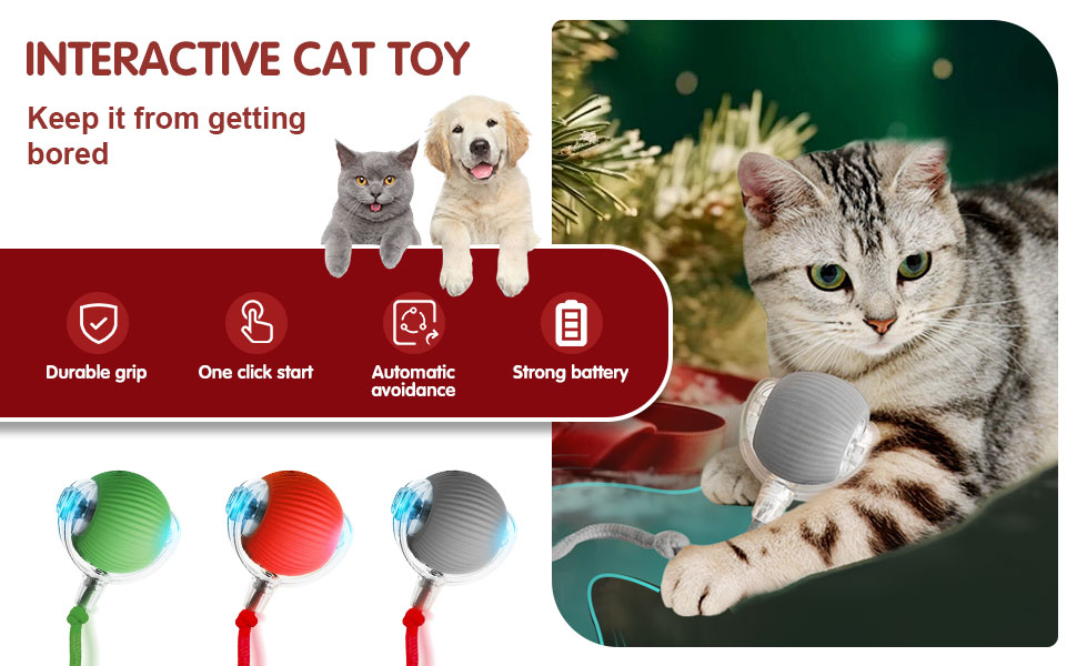 Interactive Cat Ball Toys