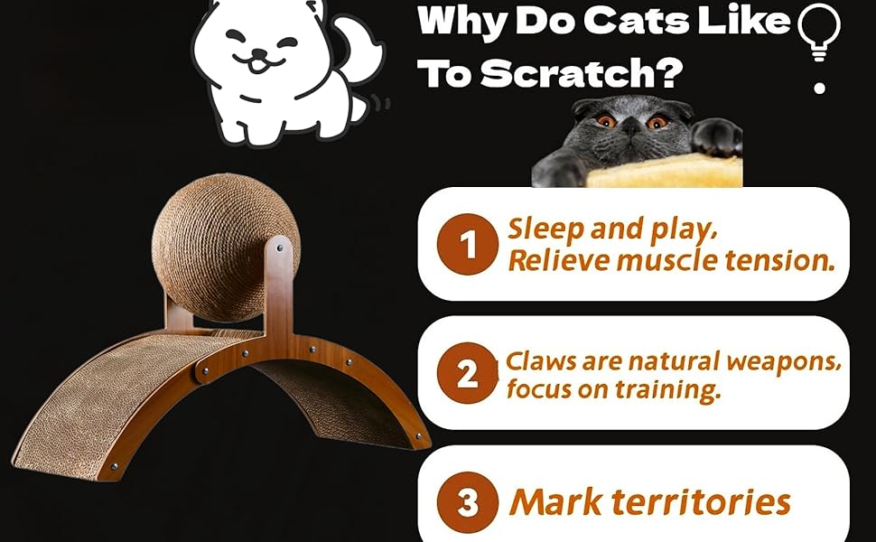 cat scratching board