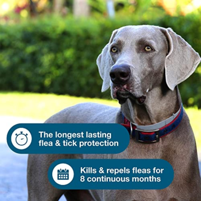 Pet Flea and Tick Treatment and Prevention Collars