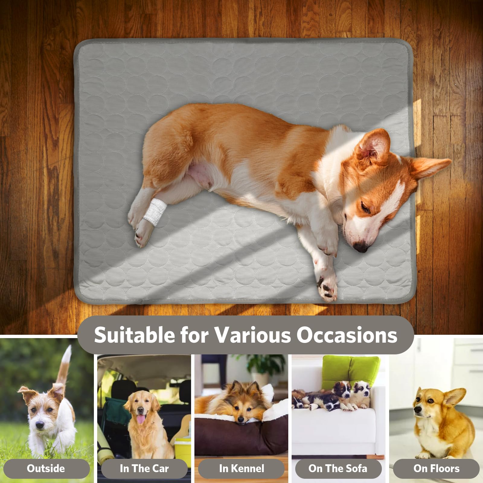  Instant Cool Dog Bed - Dog Cooling Mat