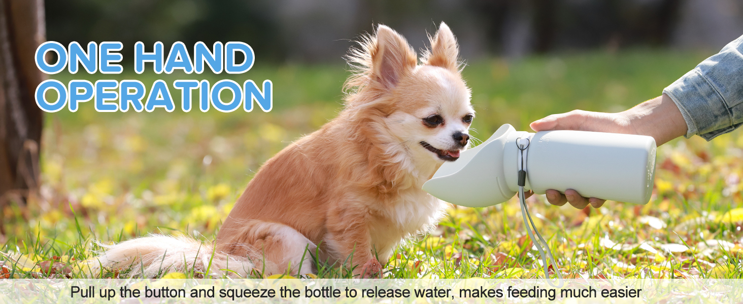 Dog Water Bottle 