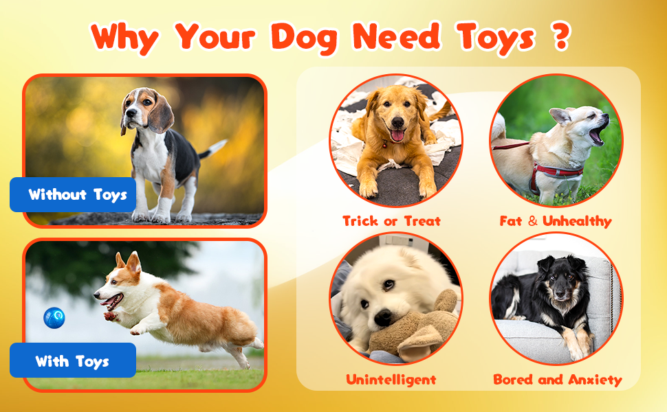 Shaky Ball Toy for Dogs