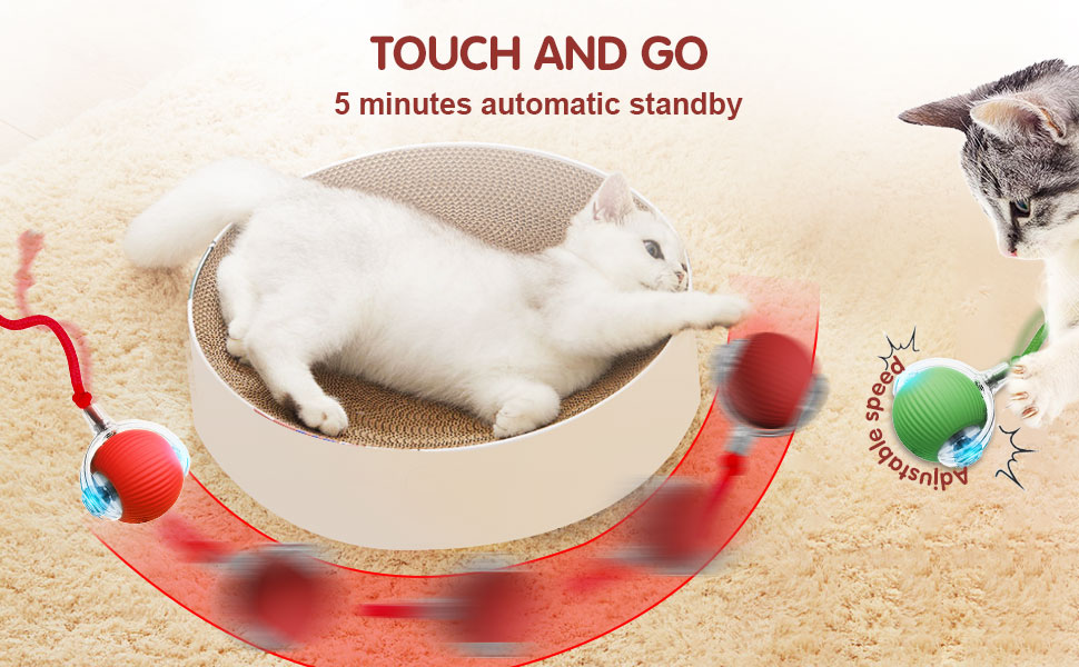 Interactive Cat Ball Toys