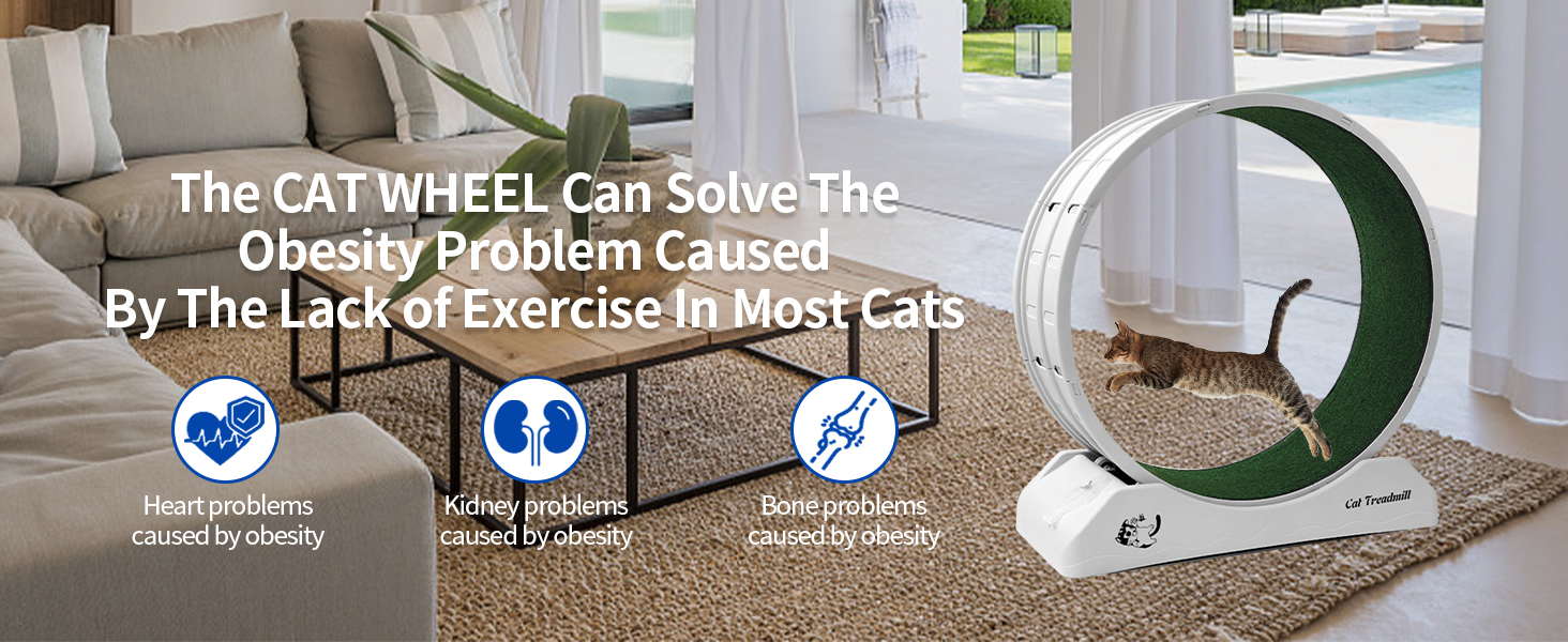 cat wheels for indoor cats