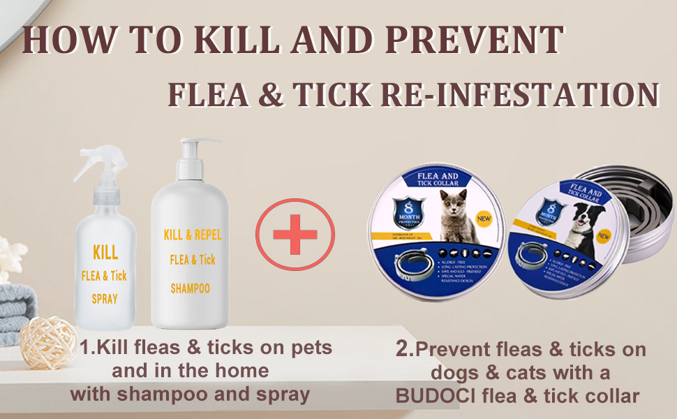 kill the flea