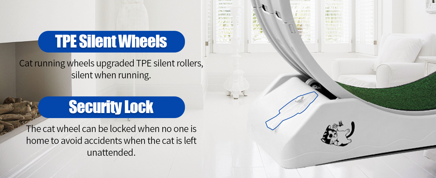 cat wheel exerciser