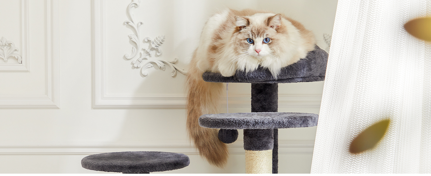 cat tree