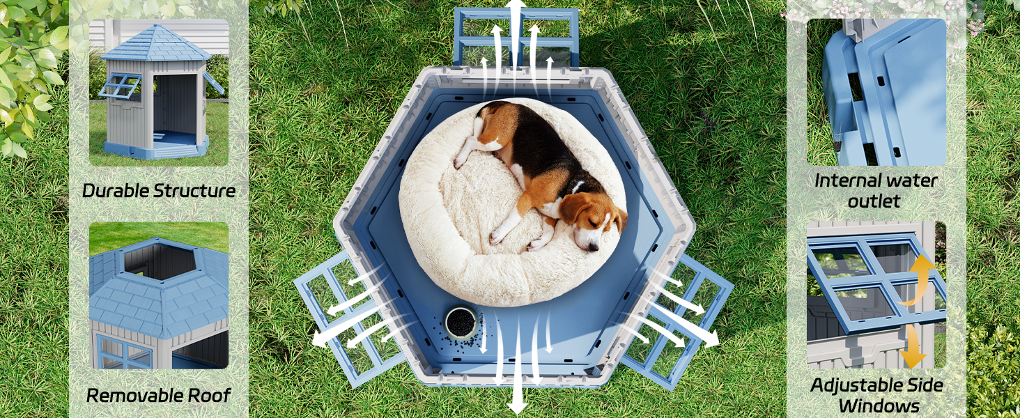 dog house