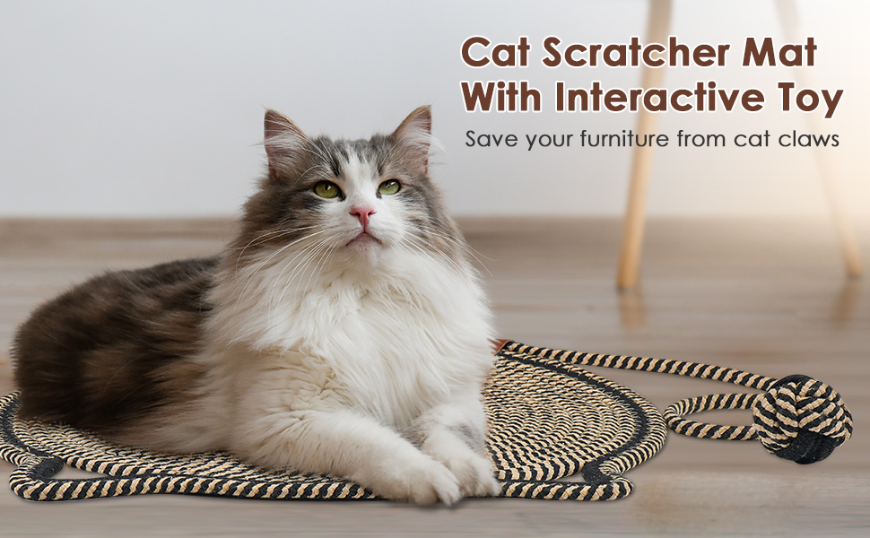 cat scratch mat