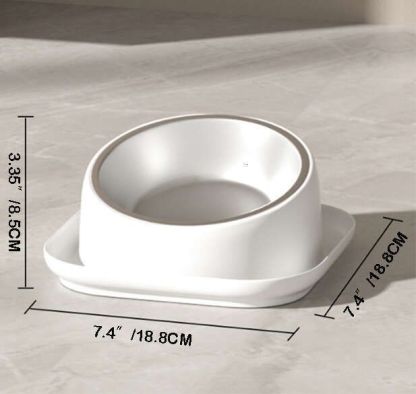 15° Slanted Stainless Steel Dog Cat Food Bowl Water Bowl 