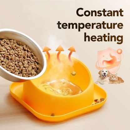 15° Slanted Stainless Steel Dog Cat Food Bowl Water Bowl 