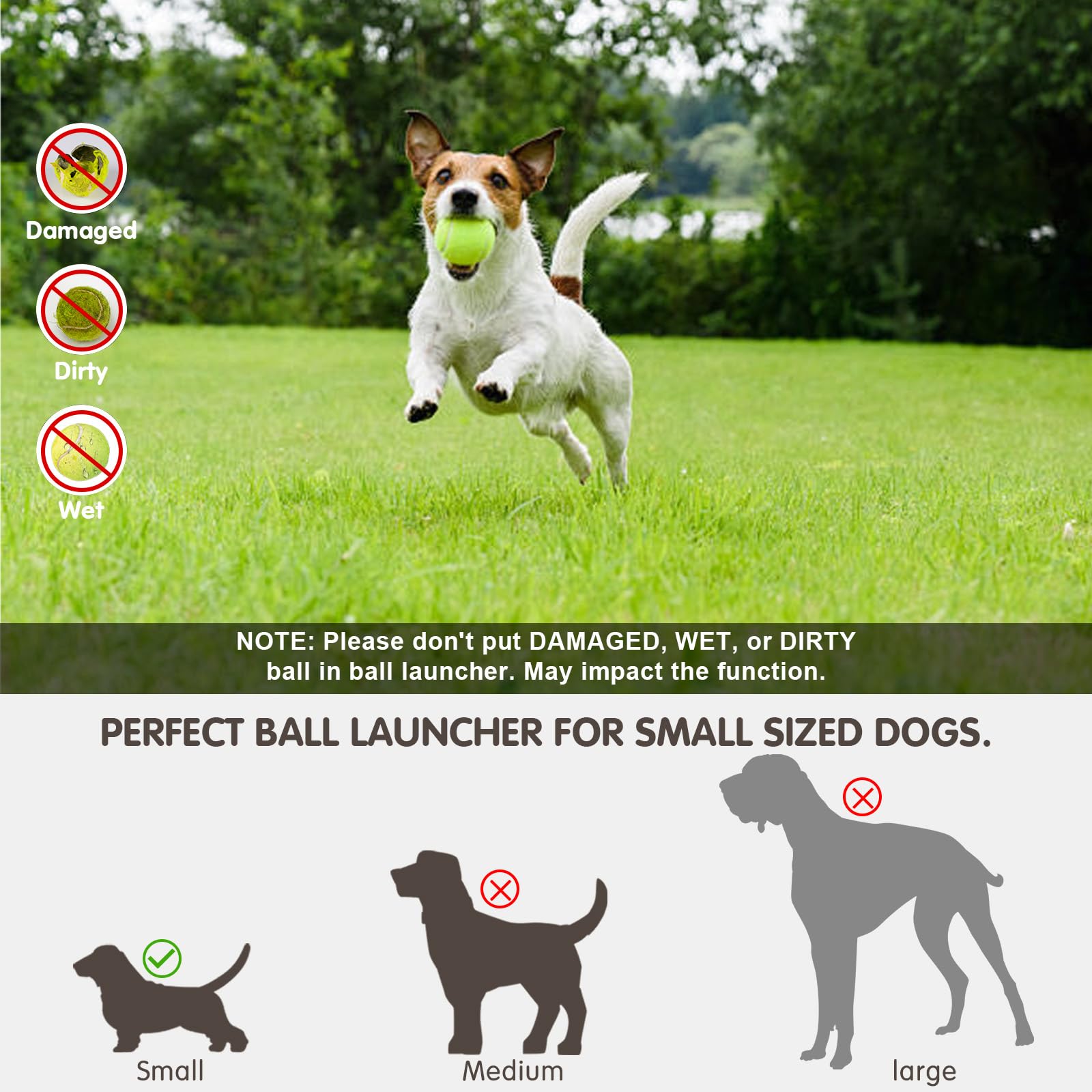 Automatic Dog Ball Launcher