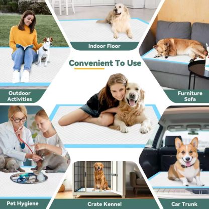 30*36inch Dog Training Pads Disposable