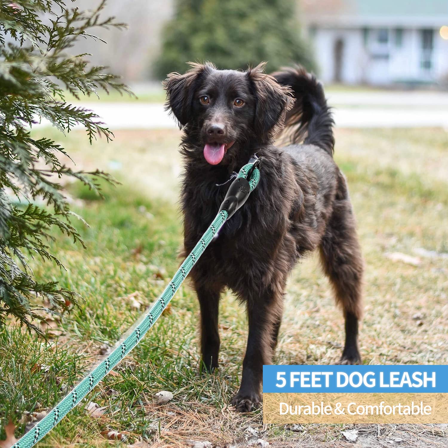 Reflective Dog Leash With Comfortable Padded Handle