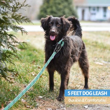 Reflective Dog Leash With Comfortable Padded Handle