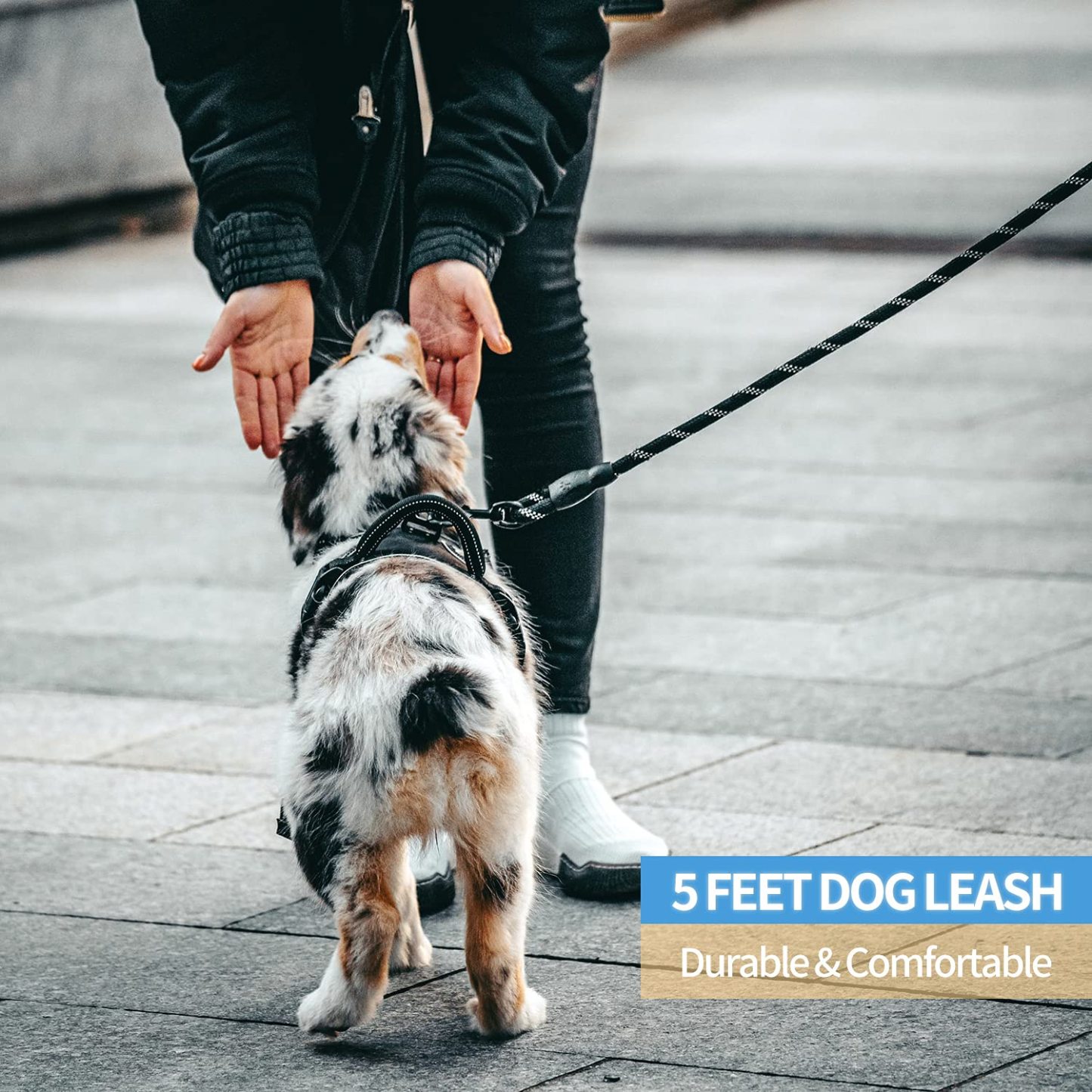 Reflective Dog Leash With Comfortable Padded Handle