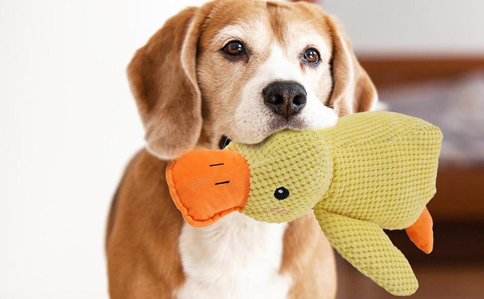 calming duck dog toy