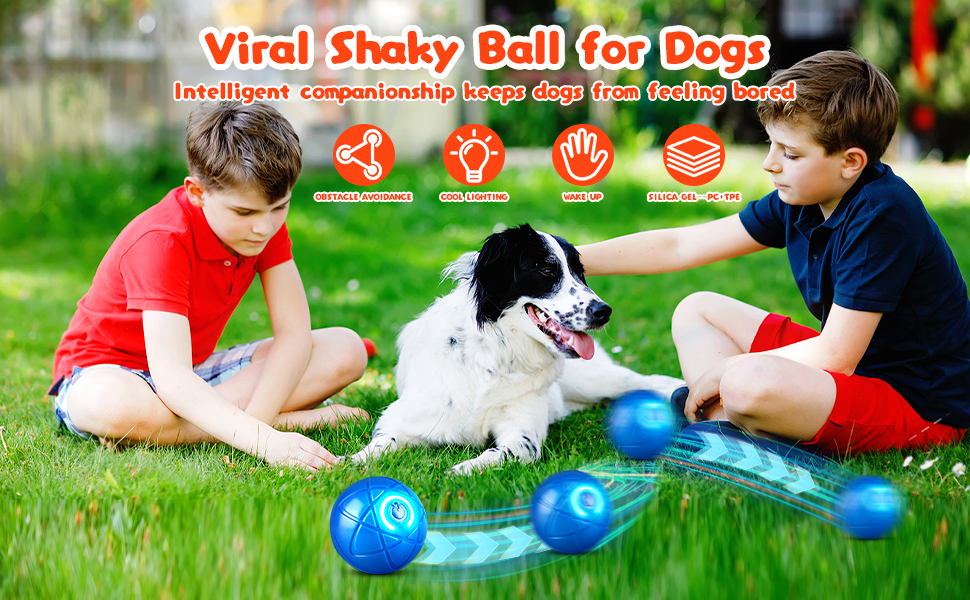 Shaky Ball Toy for Dogs