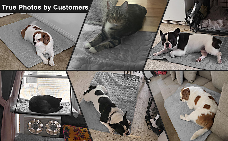 dogs cooling bed for dogs large summer pet cooling pads