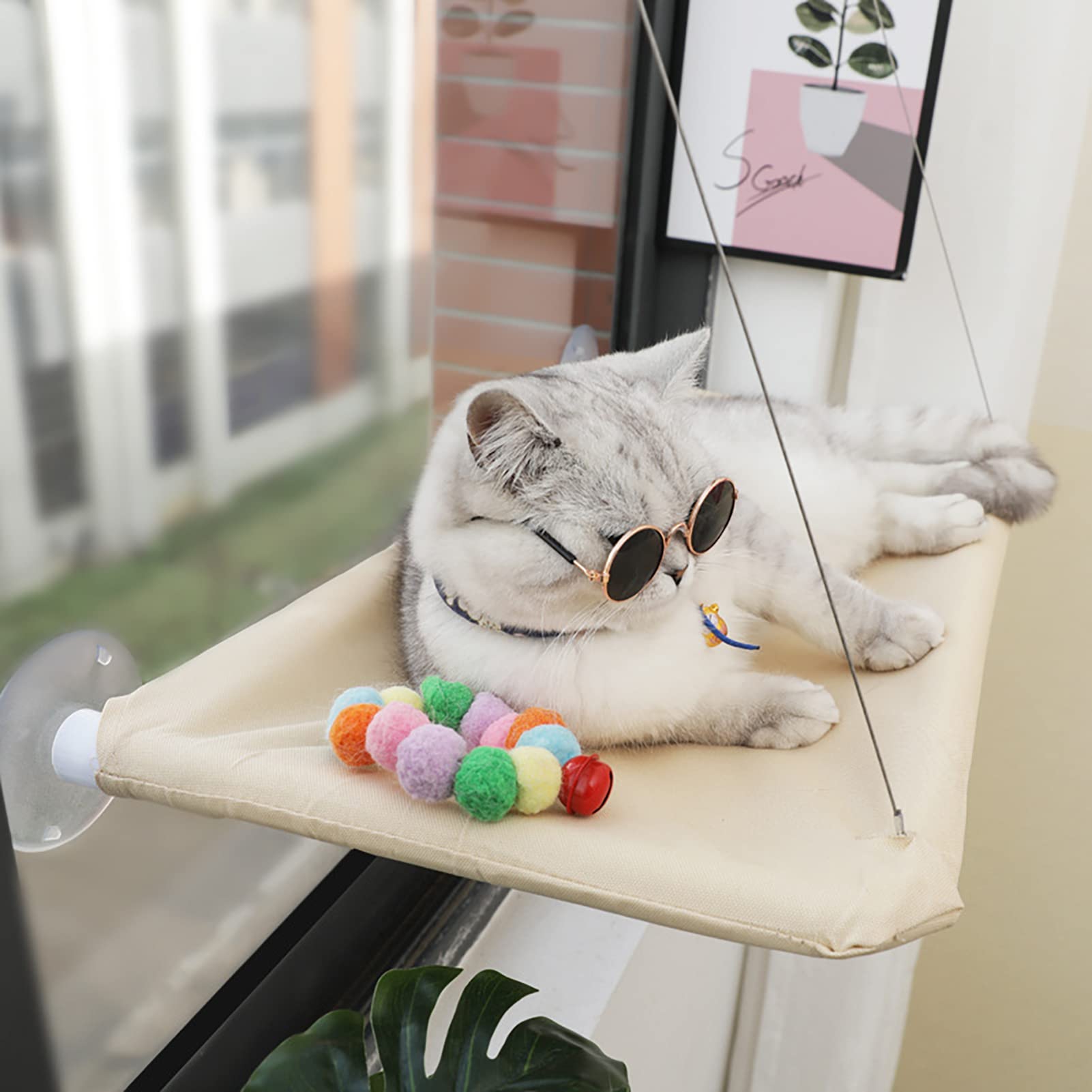 at Bed Window Cat Hammock