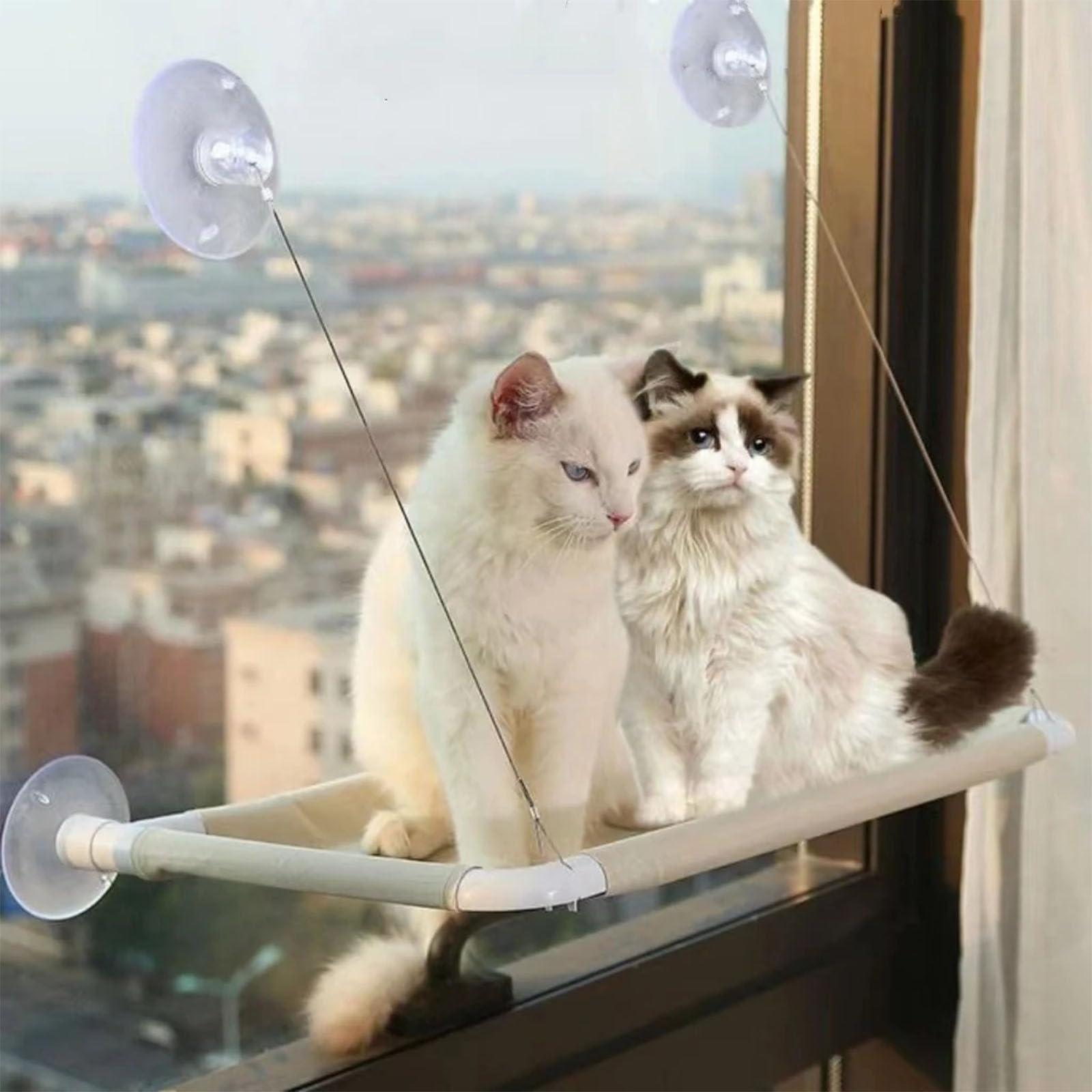 at Bed Window Cat Hammock
