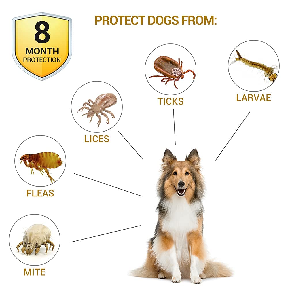 Pet Flea and Tick Treatment and Prevention Collars