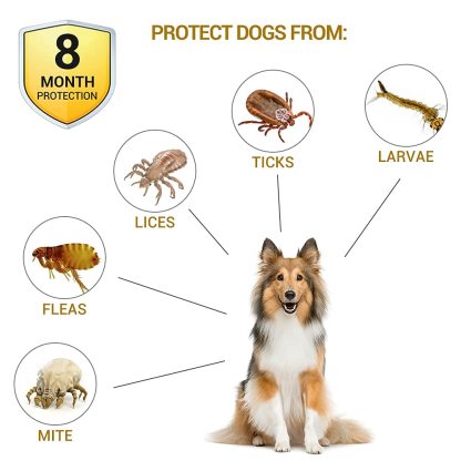 Pet Flea and Tick Treatment and Prevention Collars