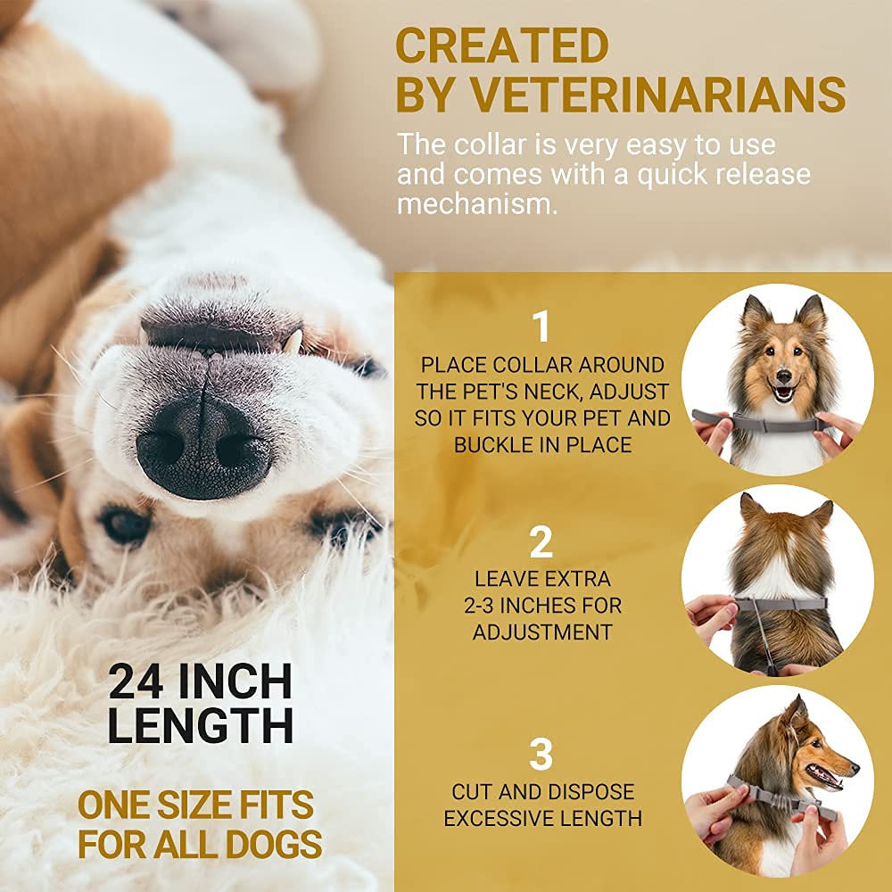 Pet Flea and Tick Treatment and Prevention Collars