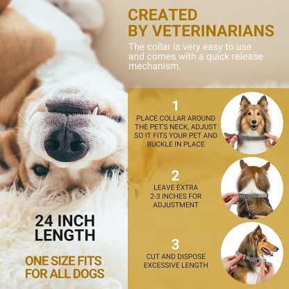 Pet Flea and Tick Treatment and Prevention Collars