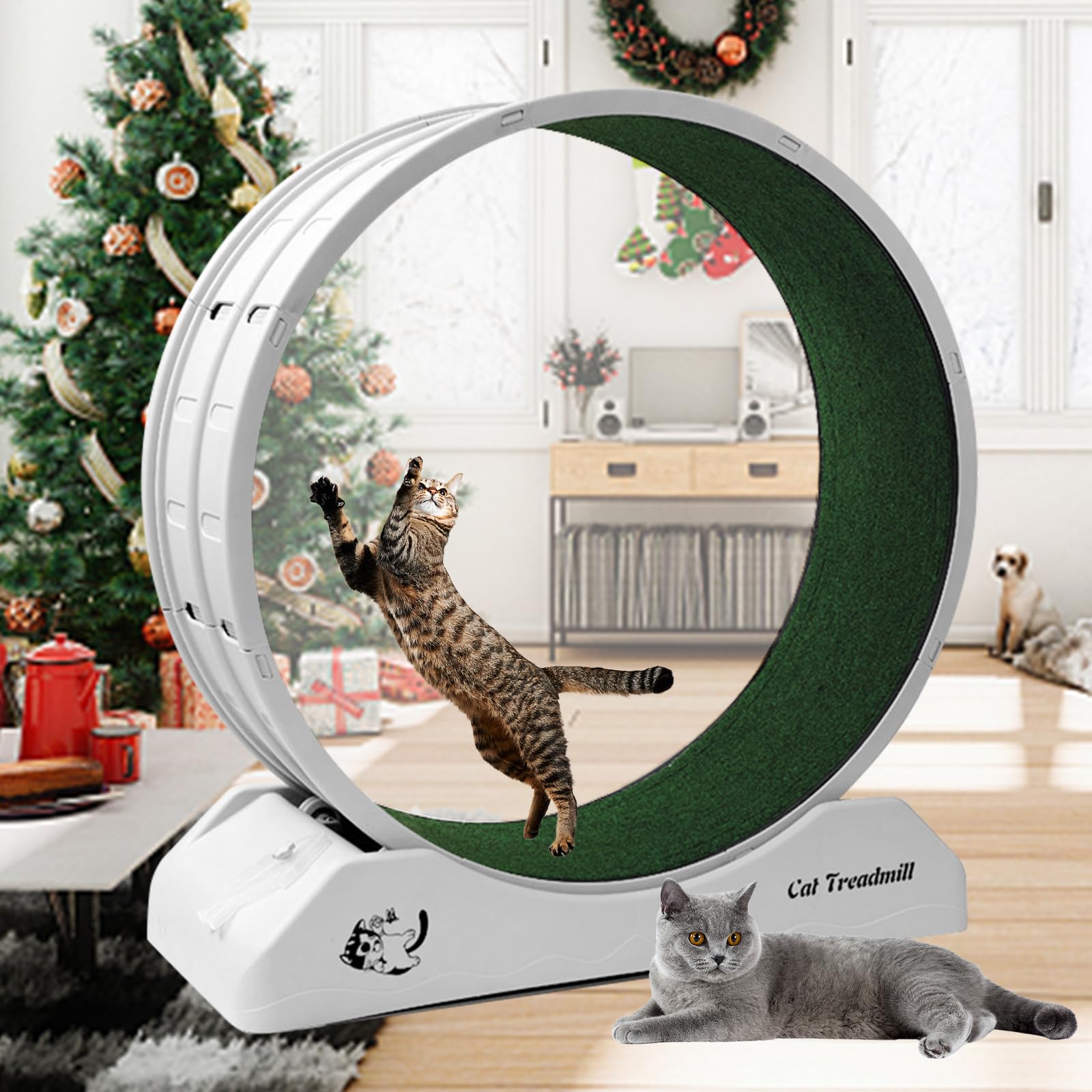 Cat Exercise Wheel Cat Wheels for Indoor Cats Cat Running Wheel with Carpeted Runway