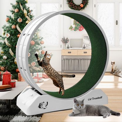 Cat Exercise Wheel Cat Wheels for Indoor Cats Cat Running Wheel with Carpeted Runway