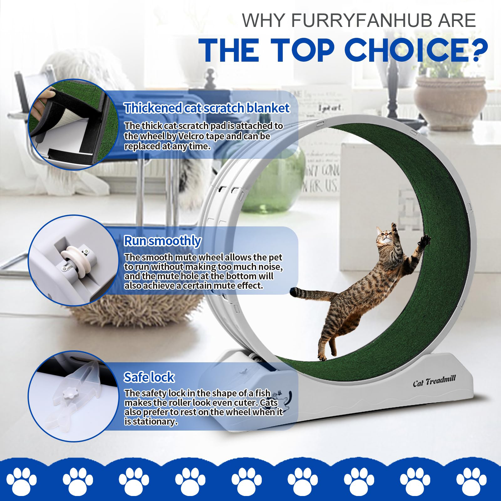 Cat Exercise Wheel Cat Wheels for Indoor Cats Cat Running Wheel with Carpeted Runway
