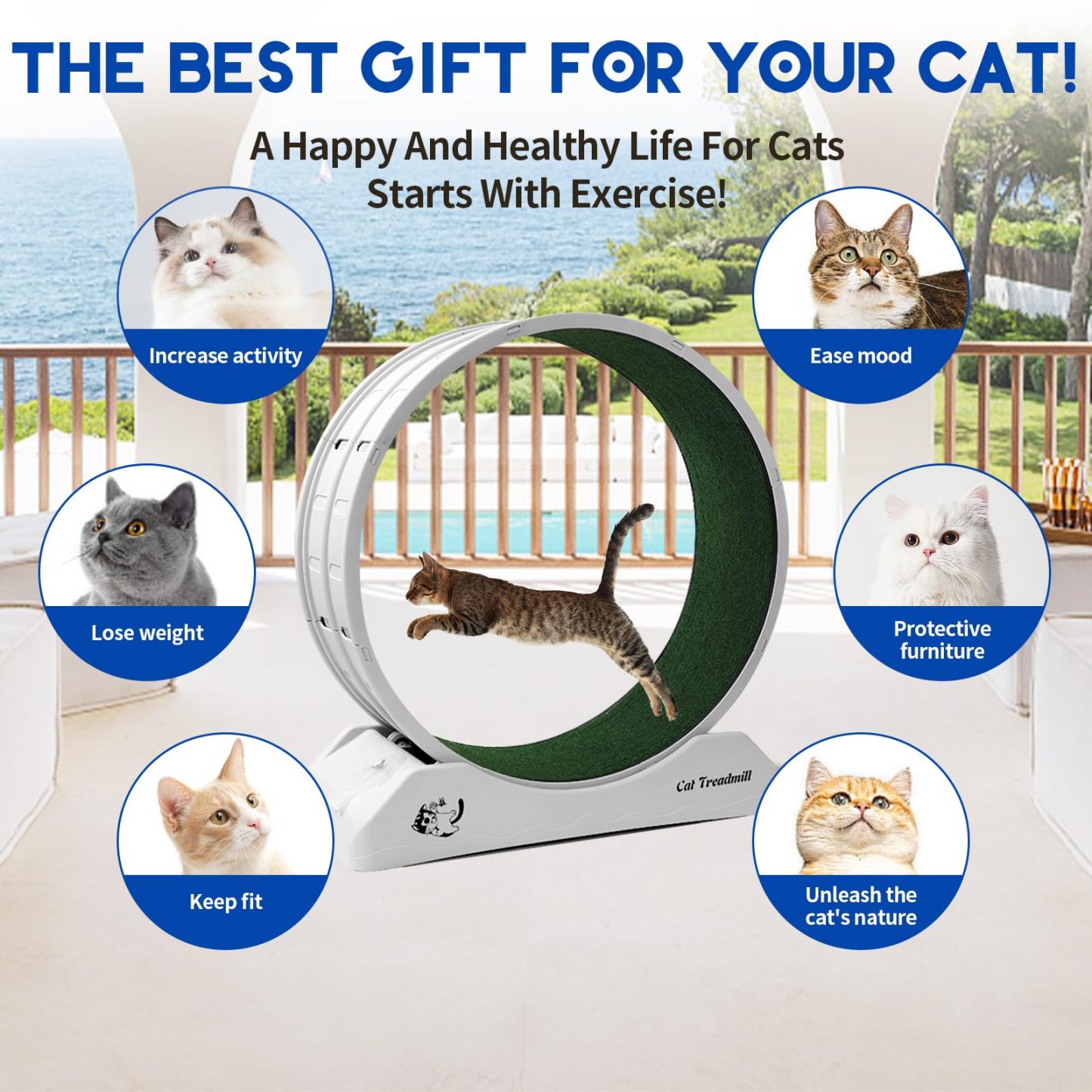 Cat Exercise Wheel Cat Wheels for Indoor Cats Cat Running Wheel with Carpeted Runway