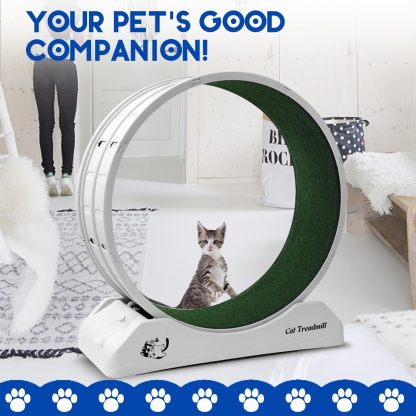 Cat Exercise Wheel Cat Wheels for Indoor Cats Cat Running Wheel with Carpeted Runway