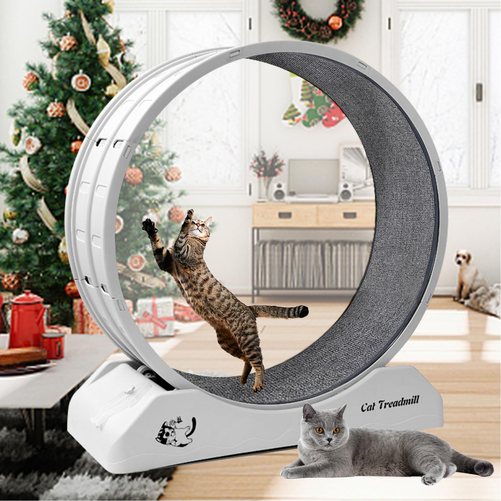 Cat Exercise Wheel Cat Wheels for Indoor Cats Cat Running Wheel with C