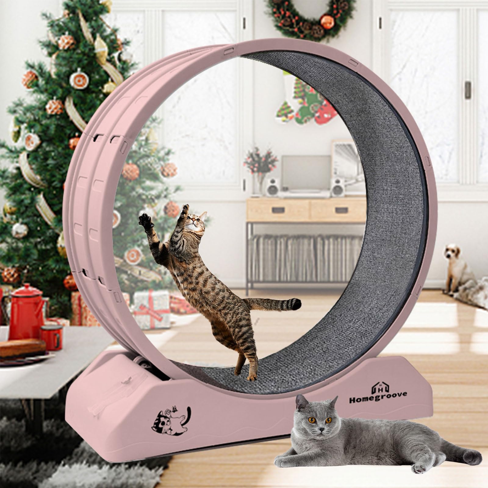 Cat Exercise Wheel Cat Wheels for Indoor Cats Cat Running Wheel with C