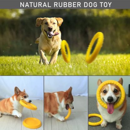 Dog Flying Disc Dog Training Toys/Dog Chew Toy