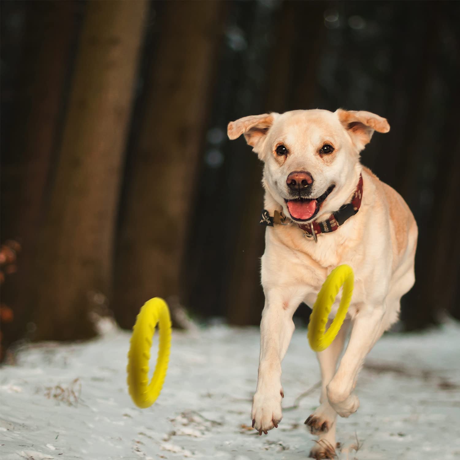 Dog Flying Disc Dog Training Toys/Dog Chew Toy