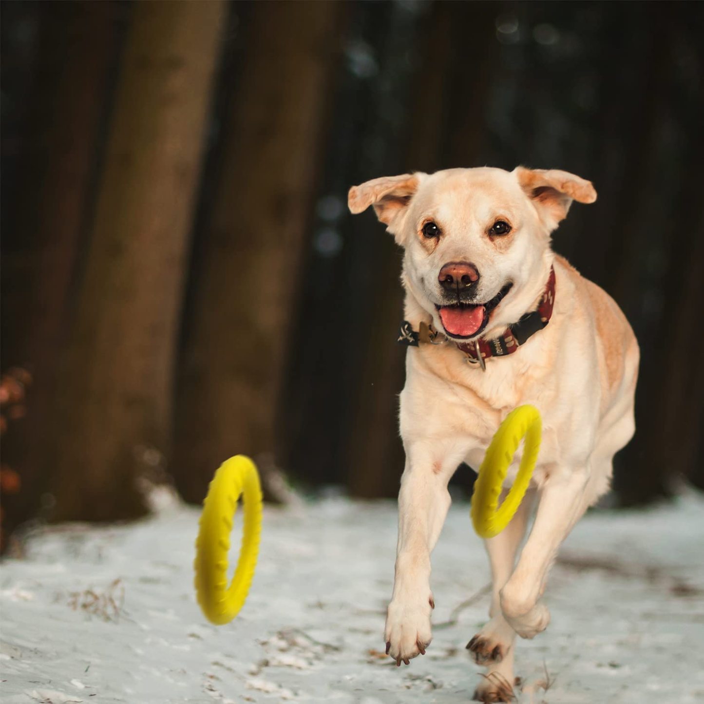 Dog Flying Disc Dog Training Toys/Dog Chew Toy