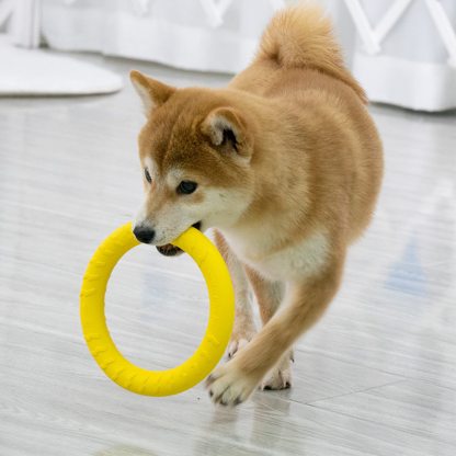 Dog Flying Disc Dog Training Toys/Dog Chew Toy