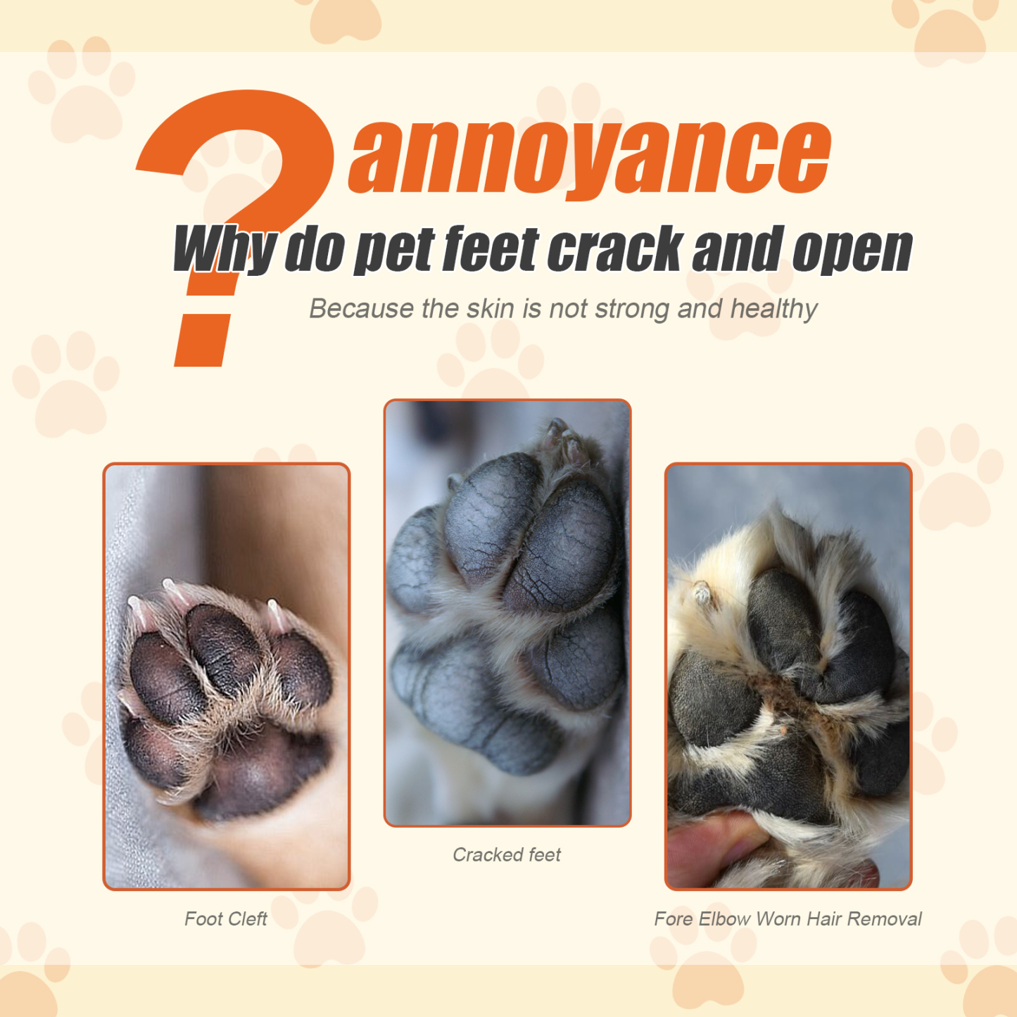 PAW BALM