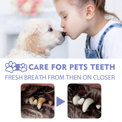NO BRUSHING PET ORAL CARE SPRAY
