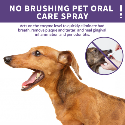 NO BRUSHING PET ORAL CARE SPRAY