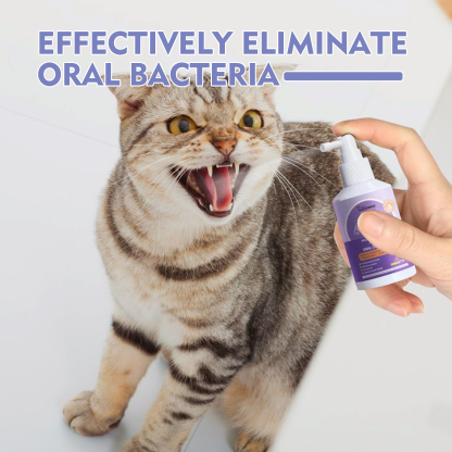 NO BRUSHING PET ORAL CARE SPRAY